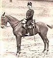 E.W. van der Capellen