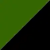 CSB school colors