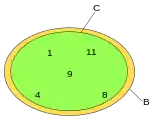 C is a subset but not a proper subset of B.