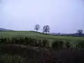 Surrounding farm land