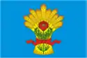 Flag of Kamensky District, Voronezh Oblast