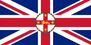 Standard of the governor of New South Wales 1876–1981
