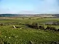 Flemingston Moor