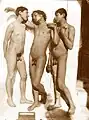 The Three Graces