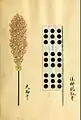 Hoshina Masayuki