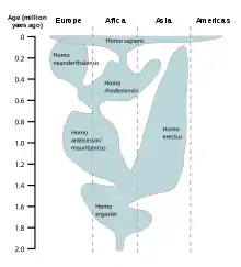 Image 47A reconstruction of human history based on fossil data. (from History of Earth)