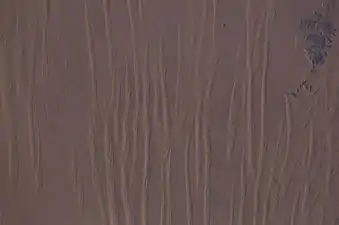 Large linear seif dunes in the Great Sand Sea in southwest Egypt, seen from the International Space Station. The distance between each dune is 1.5–2.5&nbsp;km.