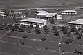 Sde Nehemia, 1946