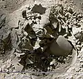 Burial 6. Excavation at exposition 3.