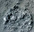 Burial 8. Excavation at phase 4.