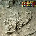 Burial 10. Excavation phase 7.