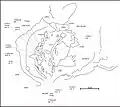 Burial 23 - Spatial distribution of the teeth within the skullcap (exposition 2)