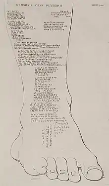 1743 transcription