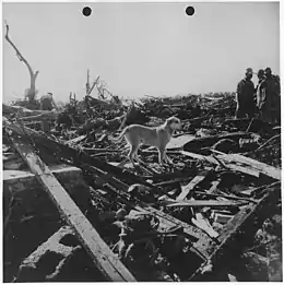 Men and dog inspect tornado rubble
