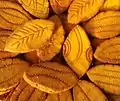 Mung pakon, traditional Bengali pitha, Bangladesh.