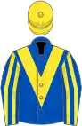 Royal blue, yellow chevron, striped sleeves, yellow cap