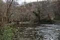 A river in Paštrić