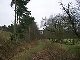 Knettishall Heath