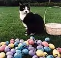 Socks with Easter eggs in 1994