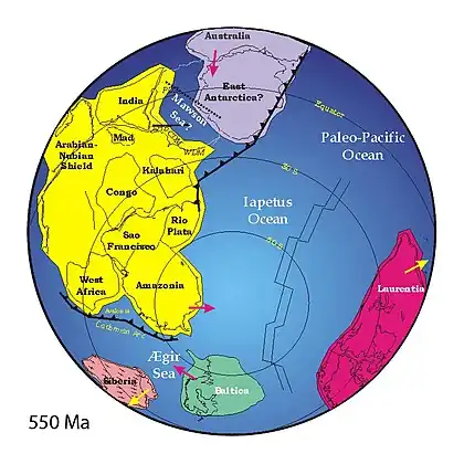 Image 79A reconstruction of Pannotia (550 Ma). (from History of Earth)