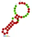 ;CRISPR-DR57: Secondary structure taken from the Rfam database. Family RF01370.