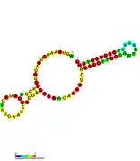 isrJ Hfq binding RNA: Predicted secondary structure taken from the Rfam database. Family RF01393.