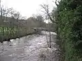 River Nidd at Glasshouses