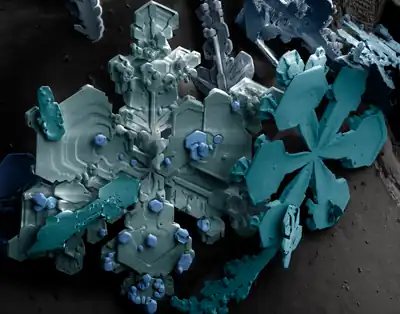 Snow flakes  (November 2009)