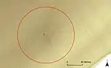 Synthetic aperture sonar, category 2 contact