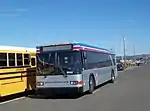 Light-gray bus with stripes, seen from the front