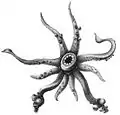 Oral view of the holotype (4.7&nbsp;mm ML)