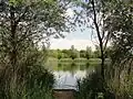 Fishing Lake.