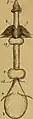 Male genitourinary system