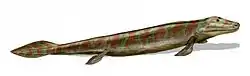 Image 83Tiktaalik, a fish with limb-like fins and a predecessor of tetrapods. Reconstruction from fossils about 375&nbsp;million years old. (from History of Earth)