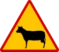 K-18Domesticated animals