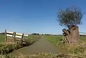 between Ameide and Meerkerk, ditch in the polder