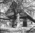 Traditional cottage