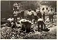 Workers building a road in Bački Petrovac