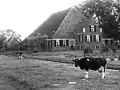 Farm in Ypecolsga