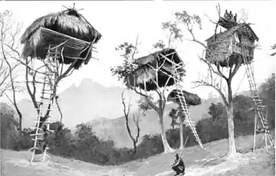 010-TREE HUTS IN NEW GUINEA.jpg