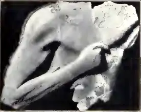 1911 Britannica - Aegean - Male Torso.png