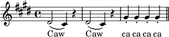 { \key e \major
\relative d' { dis2( cis4) r dis2( cis4) r |
gis'-. gis-. gis-. gis-. \bar "||" }
\addlyrics { Caw Caw ca ca ca ca } }