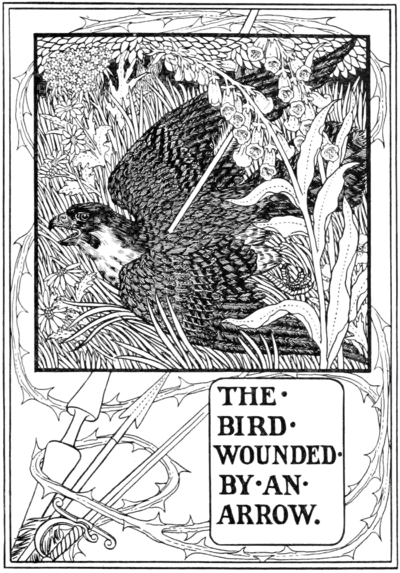 The Bird wounded by an Arrow.