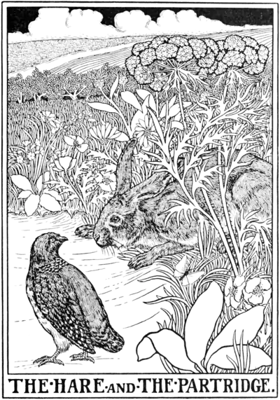 The Hare and the Partridge.