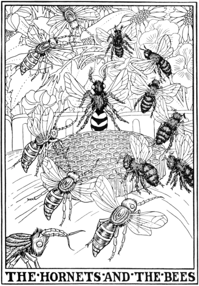 The Hornets and the Bees.