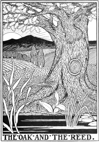 The Oak and the Reed.