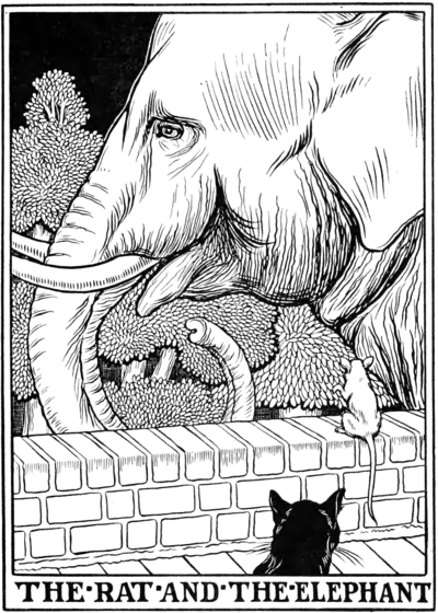 The Rat and the Elephant.