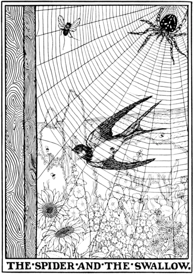 The Spider and the Swallow.