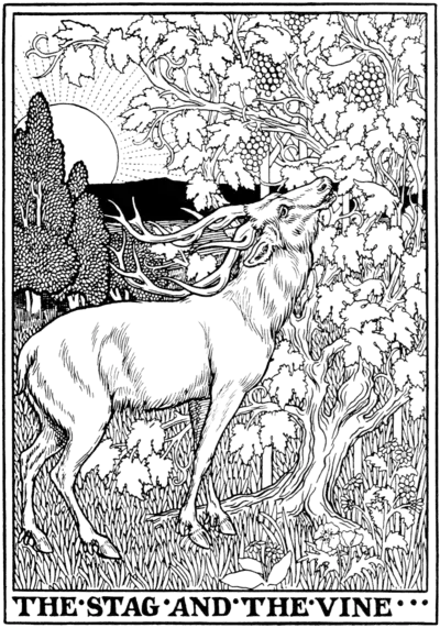 The Stag and the Vine.