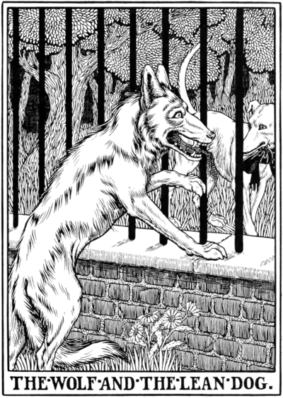 The Wolf and the lean Dog.